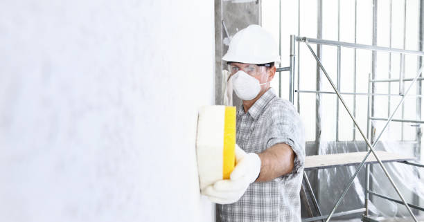 Best Mold Odor Removal Services  in De Kal, TX