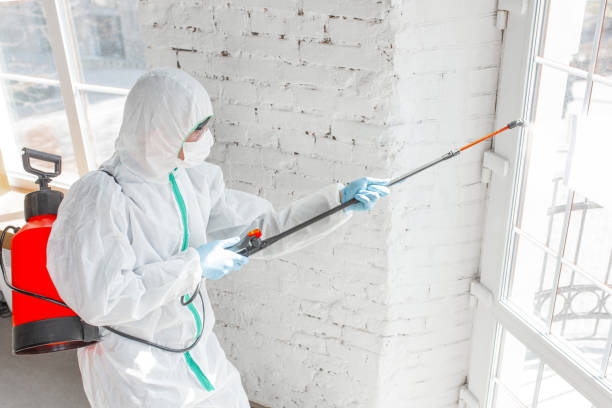 Best Asbestos and Lead Testing During Mold Inspection  in De Kal, TX