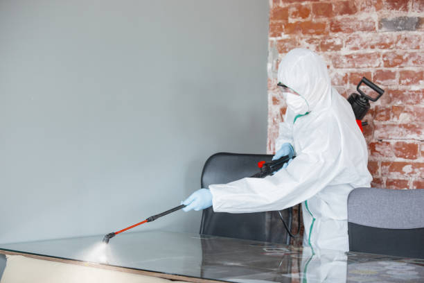 Best Mold Removal for HVAC Installations  in De Kal, TX