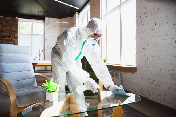 Best Mold Odor Removal Services  in De Kal, TX